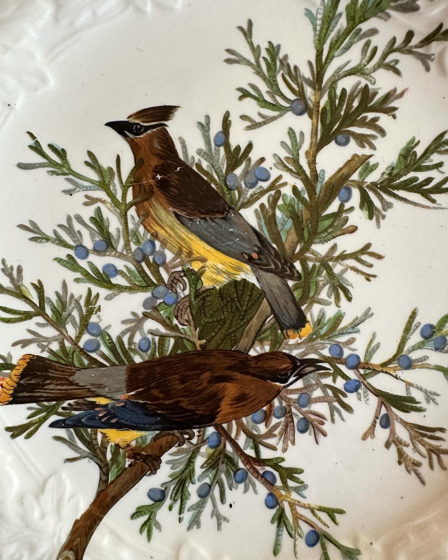 Vintage set of 6 Meakin England, National Audubon Society plates, Birds of America