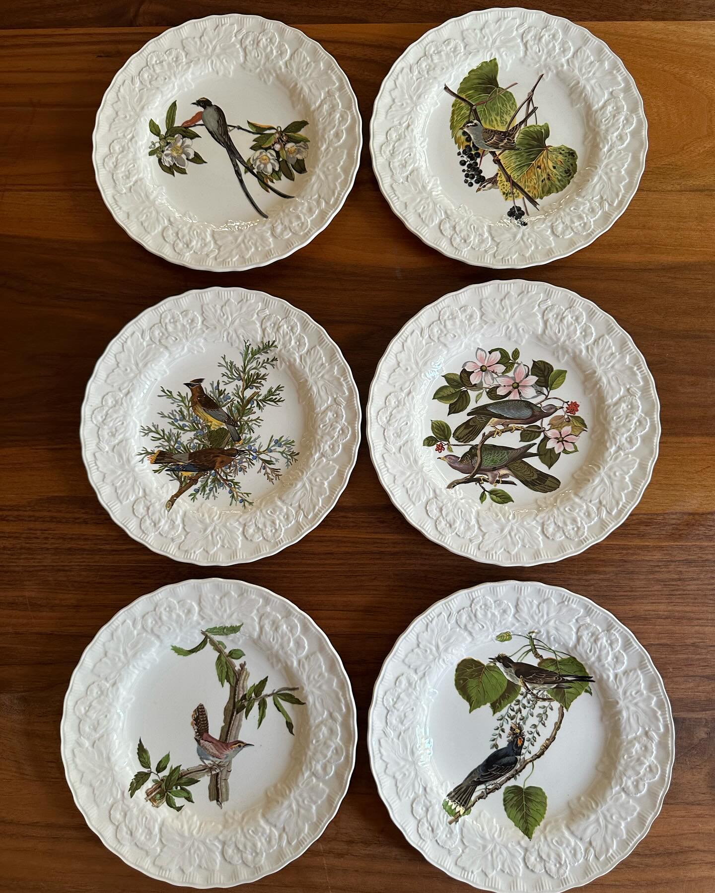 Vintage set of 6 Meakin England, National Audubon Society plates, Birds of America